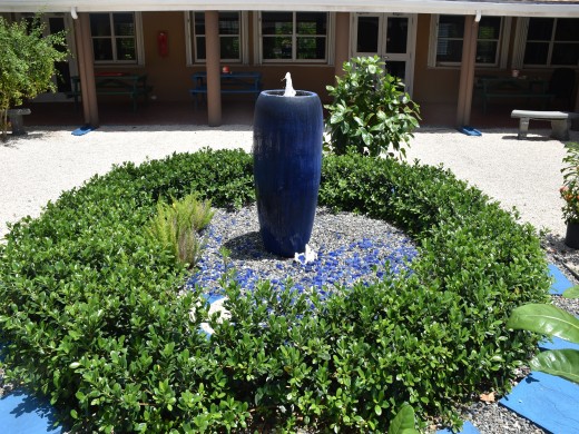 Withdrawal Management Unit